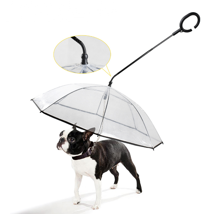 Dog Umbrella